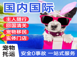 包头空运公司国际宠物托运 【国